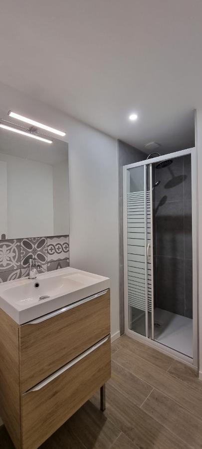 Chambres Avec Douche Privative Dans Appartement Partage - Metro - Wifi トゥールーズ エクステリア 写真